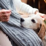 犬が老犬になる前に直すべき『生活習慣』5つ　寿命を伸ばすために飼い主が意識すべきこととは？(ブログ)