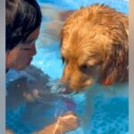 小学生の女の子の『夏休み』を朝から観察した結果→大型犬と一緒に…尊すぎる『幸せな日常』が5万再生「癒された」「めっちゃ可愛い」と反響(ブログ)