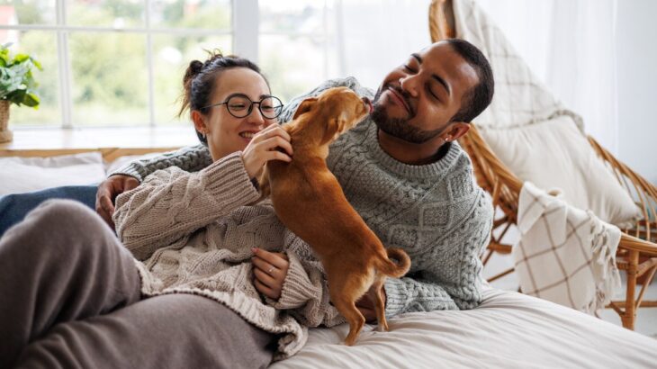 犬が飼い主に伝えたいこと9選　愛犬が何かを訴えようとしているときの行動とは？(ブログ)