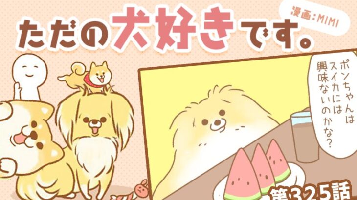 ただの犬好きです。【第325話】「狙っては…」(ブログ)
