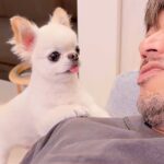 寝転がっていたら、犬が『ごはんちょーだい』と話しかけてきて…可愛すぎる『会話をする光景』が42万再生「人間みたいｗ」「ショック顔で草」(ブログ)