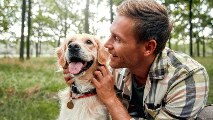 保護犬の辛い経験を忘れさせる方法はあるの？新しい飼い主がしてあげるべき心のケアとは(ブログ)