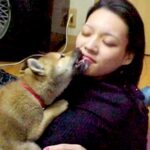 犬が苦手な女性が『彼氏の家で1匹の犬と出会った』結果…涙が止まらない『亡くなるまでの記録』が20万再生「泣いた」「成長を見てたのかな」(ブログ)
