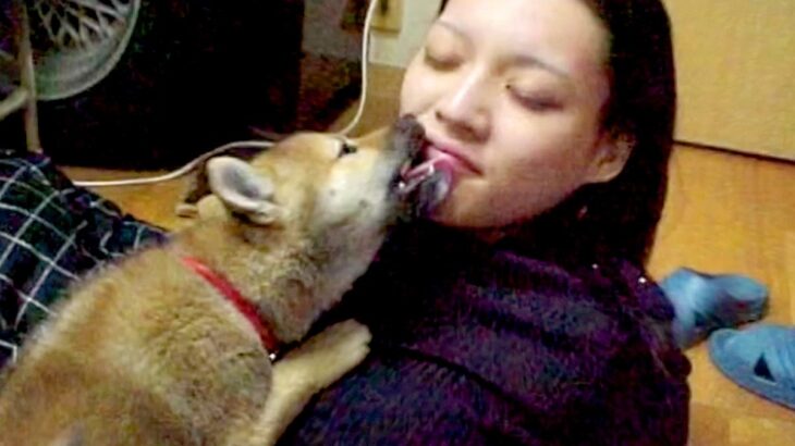 犬が苦手な女性が『彼氏の家で1匹の犬と出会った』結果…涙が止まらない『亡くなるまでの記録』が20万再生「泣いた」「成長を見てたのかな」(ブログ)