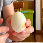 『大好きなゆで卵』をこっそりむいたら、犬はいつ気づくのか検証→思わず笑ってしまう『まさかの結果』が103万再生「顔ｗｗ」「耳いいのね」(ブログ)