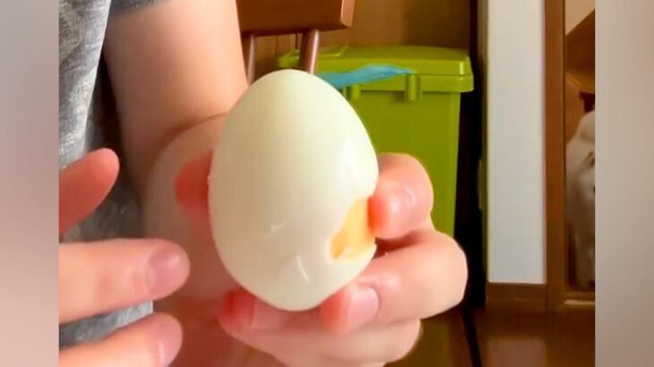『大好きなゆで卵』をこっそりむいたら、犬はいつ気づくのか検証→思わず笑ってしまう『まさかの結果』が103万再生「顔ｗｗ」「耳いいのね」(ブログ)