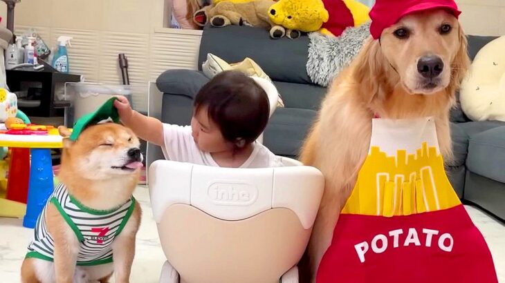1歳の女の子の『ドライブスルーごっこ』に付き合う犬たち→とんでもなく可愛い光景が32万再生「なんて優しいの」「幸せそのもの」と悶絶の声(ブログ)