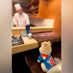 カウンターで大将からご飯を振る舞ってもらう犬→真剣な眼差しで見つめて…可愛すぎる『食事の光景』が298万再生「大将の笑顔ｗ」「いぬー！」(ブログ)