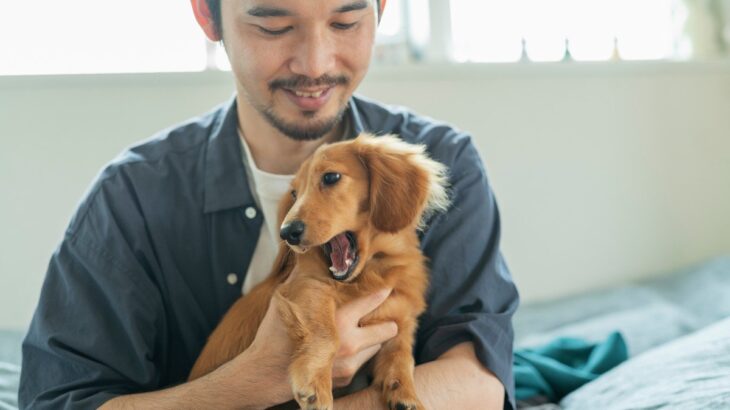 愛犬が嫌がってしまう『飼い主の行動』5選　無意識にやっているかも？信頼を失うNG行為とは(ブログ)