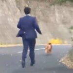 車を走らせていたら、スーツの男性が『１匹の捨て犬』を追いかけて…涙なしでは見れない『衝撃の光景』が557万再生「凄い」「ありがとう」(ブログ)