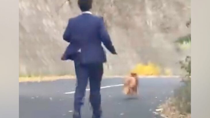 車を走らせていたら、スーツの男性が『１匹の捨て犬』を追いかけて…涙なしでは見れない『衝撃の光景』が557万再生「凄い」「ありがとう」(ブログ)