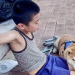 朝のトレーニングを終えた男の子→2匹の犬が近づいてきて…まさかの『微笑ましい休憩時間』に2万いいね「動けなくなるやつｗ」「最高」と称賛(ブログ)