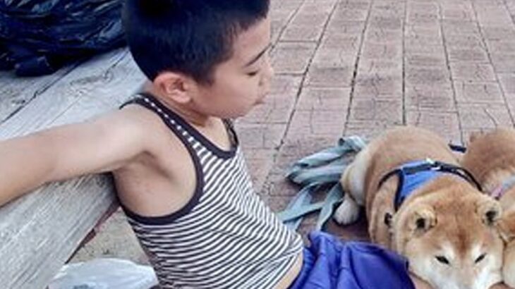 朝のトレーニングを終えた男の子→2匹の犬が近づいてきて…まさかの『微笑ましい休憩時間』に2万いいね「動けなくなるやつｗ」「最高」と称賛(ブログ)