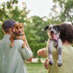 愛犬が『生活の中心』になるのは危ない？起こりうる3つのリスクや愛犬を不幸にする理由まで(ブログ)