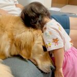小さな女の子へ『大好き』を伝える大型犬→次の瞬間…気持ちに応えた『悶絶級の行動』が37万再生「ピュアで泣いた」「尊すぎる…」と絶賛の声(ブログ)