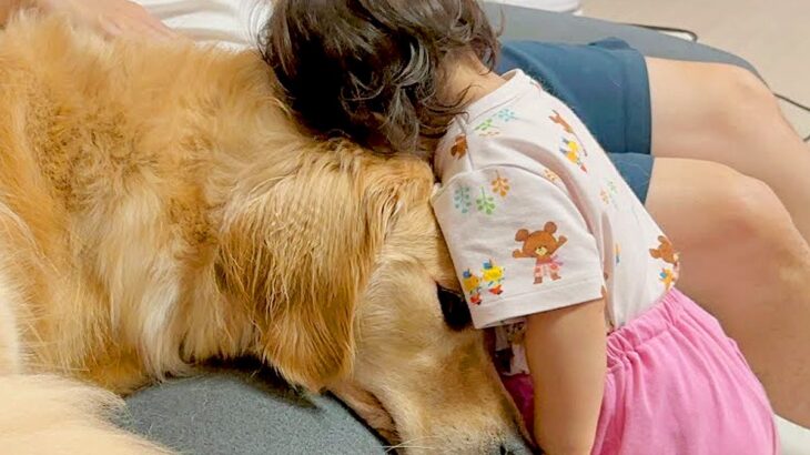 小さな女の子へ『大好き』を伝える大型犬→次の瞬間…気持ちに応えた『悶絶級の行動』が37万再生「ピュアで泣いた」「尊すぎる…」と絶賛の声(ブログ)