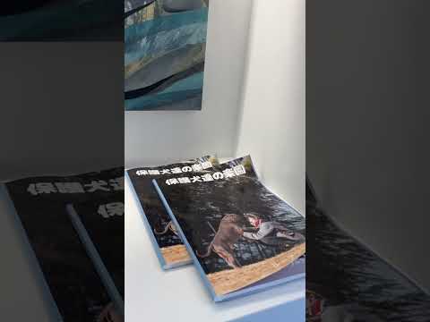 エルペットクリニックに来てます(YouTube)