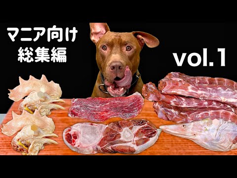 咀嚼音フェチ必見!ピットブルがひたすら骨付き肉を食べるASMRがヤバすぎる(YouTube)