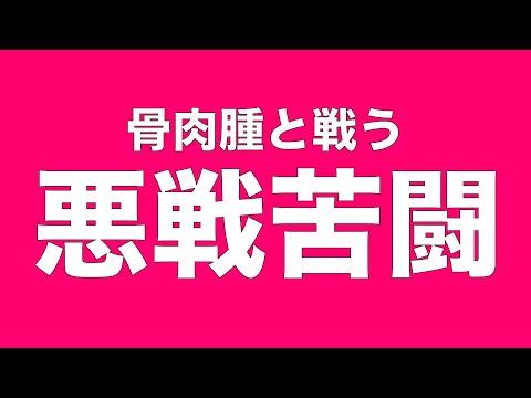 【骨肉腫と戦う保護犬】悪戦してます(YouTube)