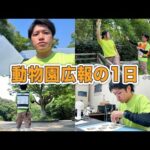 【密着】目まぐるしい1日！動物園広報担当のお仕事はこんな感じです。【YouTube撮影の裏側】(YouTube)