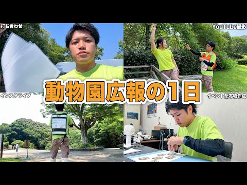 【密着】目まぐるしい1日！動物園広報担当のお仕事はこんな感じです。【YouTube撮影の裏側】(YouTube)