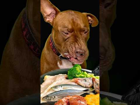 今日も秒で完食しました(YouTube)