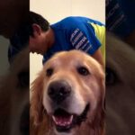 シャワータイム！(YouTube)