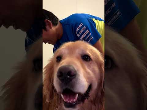 シャワータイム！(YouTube)