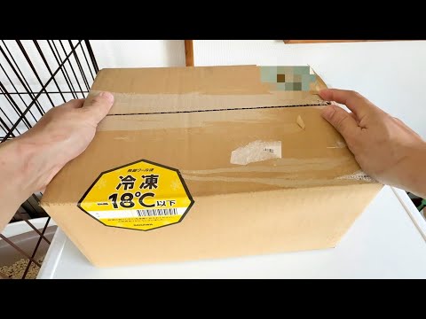 【ブリーダー必見】飼育歴2年、真似しただけで繁殖が成功した秘蔵アイテムを紹介します(YouTube)