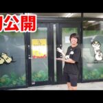 【マニアが大興奮】埼玉県にある爬虫類ショップ【ウッドベル】さんの店内にいる生体達がヤバすぎた(YouTube)