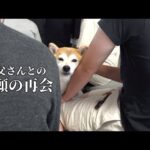 お別れ前の奇跡ーー亡き父と柴犬が過ごす最後のひととき。(YouTube)