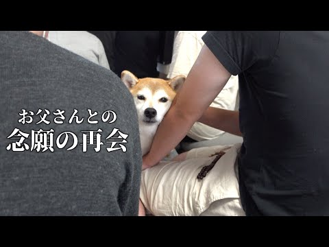 お別れ前の奇跡ーー亡き父と柴犬が過ごす最後のひととき。(YouTube)