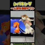 ややぽちゃシバキングを目指す😂【柴犬】 #犬(YouTube)