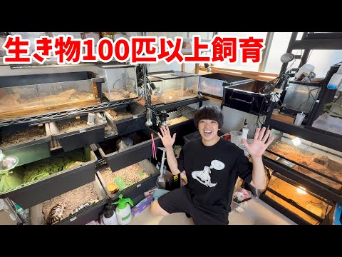 【リグガメ40匹以上】トカゲ！ヘビ！オシキャット？珍しい生き物をたくさん飼うお宅に訪問してみた(YouTube)