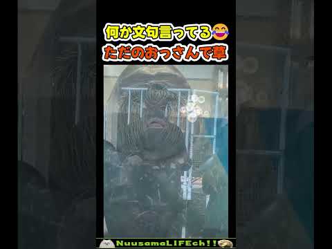 文句を垂れるおっさんオットセイ😂【おもしろ動物】 #funny(YouTube)
