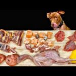 豪快すぎる!ピットブルが骨付き肉を咀嚼する音がクセになる(YouTube)