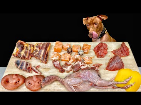 豪快すぎる!ピットブルが骨付き肉を咀嚼する音がクセになる(YouTube)