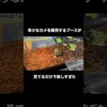 希少なカメを販売するブースが見てるだけで楽しすぎた、、、できたらとお迎えしたい(YouTube)