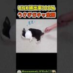 排出率100％のうさぎガチャ😂【おもしろ動物】 #funny(YouTube)
