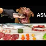 豪快すぎる!魚を丸ごと、馬の肋をボリボリ噛み砕く咀嚼音(YouTube)