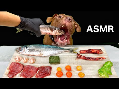 豪快すぎる!魚を丸ごと、馬の肋をボリボリ噛み砕く咀嚼音(YouTube)