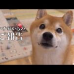 これまで応援してくださった皆様へ大切なご報告。(YouTube)