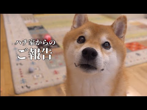 これまで応援してくださった皆様へ大切なご報告。(YouTube)