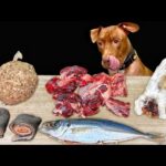 犬のASMR!骨付き肉を食べる咀嚼音がクセになる(YouTube)
