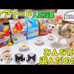 猫達全員に好きな尿ケアフードを選んでもらったら、あの銘柄が超高得点で他を圧倒‼わが家での採用最有力候補となりました🐈🐈🐈🐈【尿ケアフード総選挙】(YouTube)