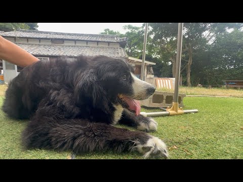 おつかれさま警備隊長(YouTube)