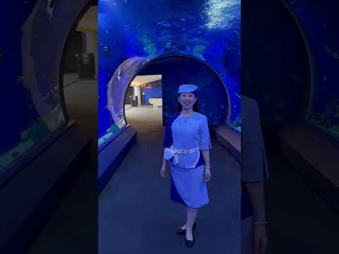 【海遊館】期間限定 海遊館ガイドツアー（ロングタイム／ショートタイム）(YouTube)