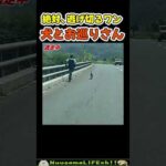 お巡りさん大変すぎw【犬】 #犬 #dog(YouTube)