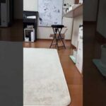 あなたがこっちに来なさいよ(YouTube)
