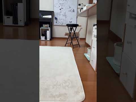 あなたがこっちに来なさいよ(YouTube)